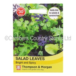 Thompson & Morgan Salad Leaves Bright & Spicy
